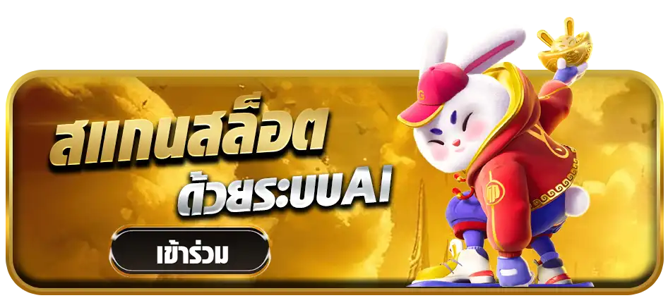 แบนเนอร์ 11